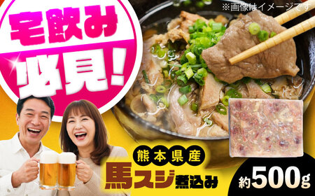 純国産馬 馬スジ煮込み 約500g / 馬肉 馬すじ 馬スジ 煮込み 熊本県 菊陽町【株式会社古閑ファーム】[BHDF020]