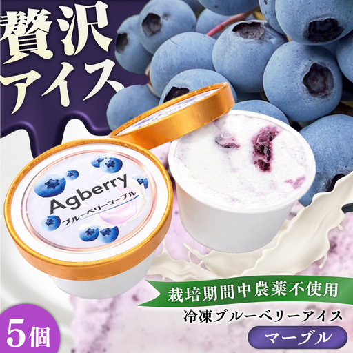 冷凍ブルーベリーアイス(ブルーベリーマーブル) 計5個セット / アイス あいす 氷菓子 フルーツ ブルーベリー ぶるーべりー マーブル デザート おやつ お菓子 カップ カップアイス 夏 ひんやり 熊本県 冷凍 菊陽町[アグファーム株式会社][BHCX018]