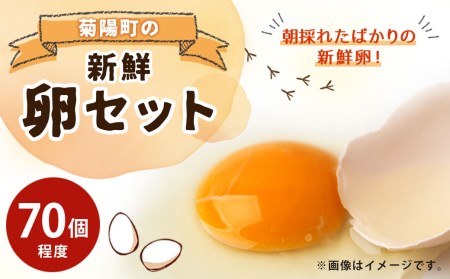 菊陽町の新鮮たまごセット / 生卵 タマゴ 新鮮 朝採れ 熊本県 特産品