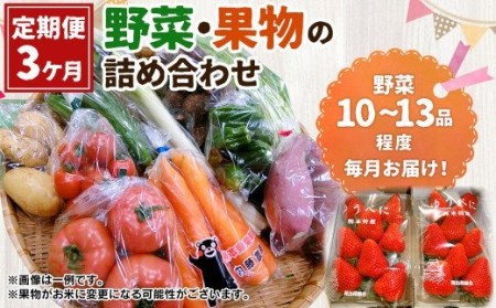 [3ヶ月定期便]菊陽町特産品 「野菜・果物などの詰め合わせ」