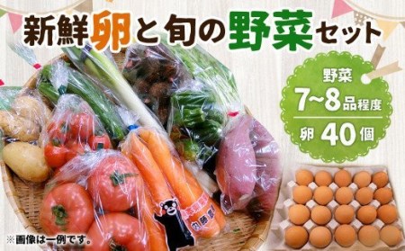 新鮮たまごと旬の野菜セット ／ 生卵 タマゴ 詰合せ セット 熊本県 特産品