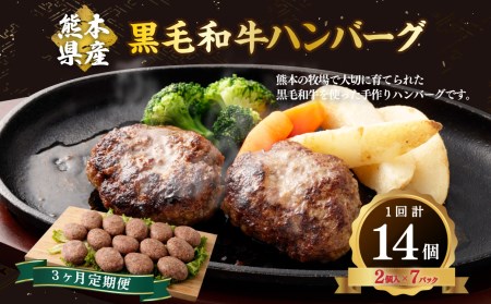 [3か月定期便] 黒毛和牛 ハンバーグ 14個 (120g×2個入×7パック) 牛肉 和牛 定期便