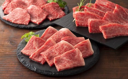 フジチク 藤彩牛 焼肉 セット 合計約1.6kg 牛肉 黒毛和牛 食べ比べ 国産 ロース モモ バラ