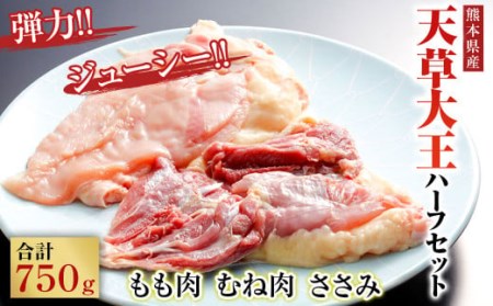 天草大王 ハーフ セット 750g ( もも むね ささみ ) 鶏肉 ミックス 熊本県産