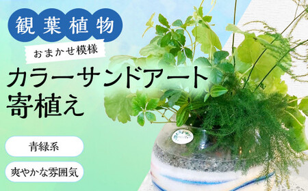 [観葉植物]カラ―サンドアート(青緑系/爽やかな雰囲気)おまかせ模様 寄せ植え