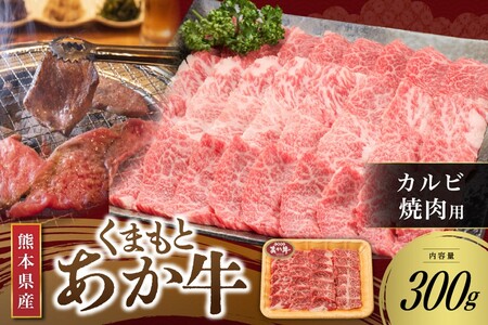 [くまもとあか牛]熊本県産 褐毛和牛 カルビ 焼肉用 300g くまもとあか牛 あか牛 肉 牛 牛肉 国産牛 バーベキュー 焼肉 熊本 阿蘇 南小国 南小国町 送料無料