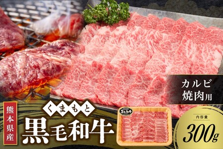 [熊本県産 黒毛和牛] カルビ 焼肉用 300g