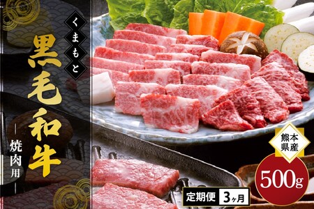 [3ヶ月定期便]熊本県産 くまもと黒毛和牛 焼肉用 500g