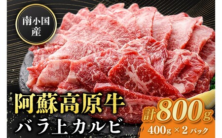 쏬Y h oJr 800g ē BBQ o[xL[ Ă Jr Jr o ґ   Y F{Y Y p Mtg F{ h 쏬 