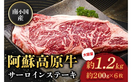 쏬Y h T[CXe[L 1.2kg ґ   Y T[C Xe[L Xe[L ē 200g 6  F{Y Y p Mtg F{ h 쏬 