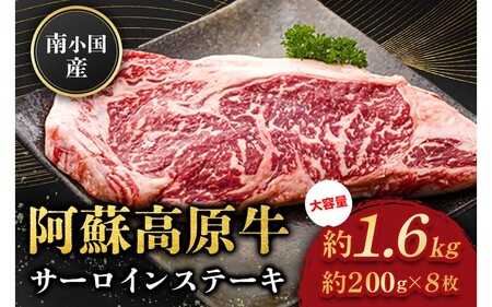 쏬Y h T[CXe[L 1.6kg ґ   Y T[C Xe[L Xe[L ē 200g 8  F{Y Y p Mtg F{ h 쏬 