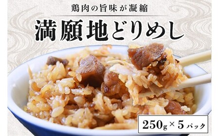 レンチン!で、いつでも美味しい「満願地どりめし」200g×5パック