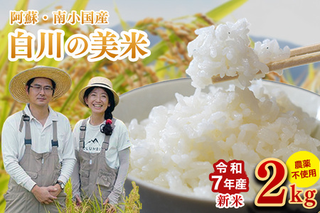 �ߘa�V�N�Y ����̔��� �Qkg �ߘa7�N�Y �쏬���Y ���� ���� 3���Â� 5���Â� 7���Â� �X�̂��܂��� ���� �� ���� ���� ���͂� ���_�� �_��s�g�p ���R�͔| �Y�n���� ���쎩�R�_�� �F�{ �쏬��