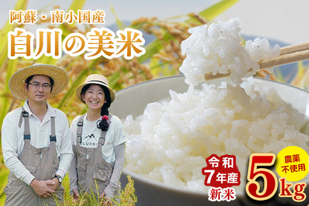 �ߘa�V�N�Y�E�V�� ����̔��� �Tkg �ߘa7�N�Y �쏬���Y ���� ���� 3���Â� 5���Â� 7���Â� �X�̂��܂��� ���� �� ���� ���� ���͂� ���_�� �_��s�g�p ���R�͔| �Y�n���� ���쎩�R�_�� �F�{