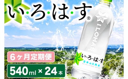 [6ヶ月定期便]い・ろ・は・す 阿蘇の天然水 540mlPET×24本(計6ケース) 6ヶ月 定期便 540ml 24本 いろはす 水 天然水 6回 ミネラルウォーター ペットボトル ケース 阿蘇 熊本 南小国町 送料無料