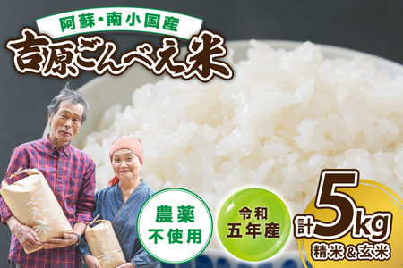 令和5年産 ごんべえ米食べ比べ(白米2.5kg・玄米2.5kg)