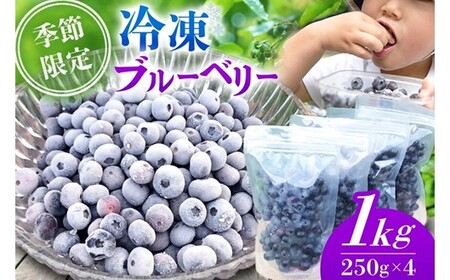 [季節限定]農薬・化学肥料不使用!愛情と栄養たっぷり冷凍ブルーベリー(1kg) 南小国産 冷凍 ブルーベリー 1kg 摘み立て 生 果物 新鮮 フレッシュ 小分け 農薬不使用 化学肥料不使用 産地直送 熊本 阿蘇 南小国町 送料無料