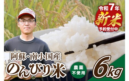【予約受付】令和７年産・新米 のんびり米 ６kg　令和7年産 南小国産 新米 米 白米 玄米 玄米対応可能 ご飯 ごはん お米 無農薬 農薬不使用 産地直送 河津農林 熊本 阿蘇 南小国町 送料無料