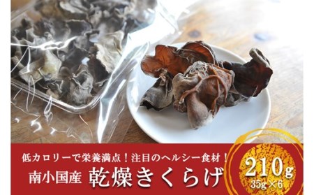 低カロリー&栄養満点!阿蘇・南小国産の乾燥きくらげ(35g×6袋) 南小国産 乾燥きくらげ 35g 6袋 210g 国産 きくらげ キクラゲ 小分け 低カロリー 栄養満点 熊本 阿蘇 南小国町 送料無料