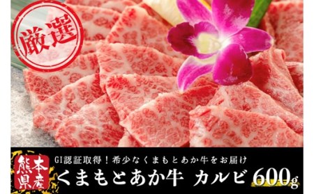 くまもとあか牛(GI) 焼肉用 牛カルビ 600g あか牛 くまもとあか牛 GI認証 熊本県産 焼肉 カルビ 焼き肉 バーベキュー BBQ 国産 和牛 牛 牛肉 熊本 阿蘇 南小国町 送料無料