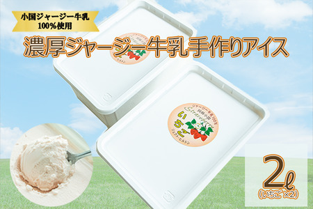 [大容量2L]濃厚ジャージー牛乳手作りアイス(1L×2個:いちご)
