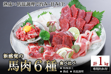 [令和7年10月出荷分]馬肉 盛り合わせ 6種 1kg 特許製法 氷温熟成 低温調理 レア 赤身 フタエゴ ハツ サガリ ユッケ コウネ 小分け 焼くだけ簡単 専用醤油 タレ付 真空 熊本 阿蘇 小国町