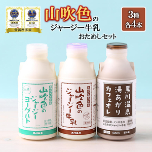 [山のいぶき]山吹色のジャージー牛乳 乳脂肪分 5%以上 低温殺菌 素材味 詰め合わせ お試しセット 牛乳 飲むヨーグルト カフェオレ 計12本 ギフト 贈答 セット ご当地グランプリ 最高金賞 熊本 阿蘇 小国郷 山吹色ジャージー 金賞 味評価審査賞 購買意欲審査賞 味覚
