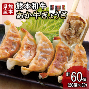 [三協畜産]熊本和牛 あか牛 熊本県産 肥育 加工品 阿蘇 熊本 褐毛和種 褐牛 和牛 ご当地 あか牛100% 牛肉 餃子 ぎょうざ 20個 3セット 計60個 ジューシー 惣菜 おかず ご飯のお供 熊本名物 ご家庭用 ギフト 贈答用