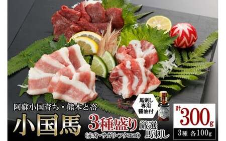 ◆レビューキャンペーン対象品◆[阿蘇牧場]熊本と畜 小国育ち 小国馬 地元産 馬刺し 阿蘇 熊本 国産 の大地 放牧馬 赤身 サガリ フタエゴ 各100g 小分け 馬肉 300g 馬刺し醤油 150ml 専用醤油 七福店 タレ付き 真空パック 老舗専門店 ギフト 贈答用