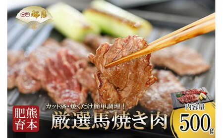 [桜屋]熊本と畜 馬肉 焼肉用 500g カット済 焼くだけ簡単 熊本 阿蘇 熊本 本場の味 熊本の味 肉感 旨み ジューシー 老舗専門店 馬刺しの桜屋 ギフト 贈答用 記念日 冷凍
