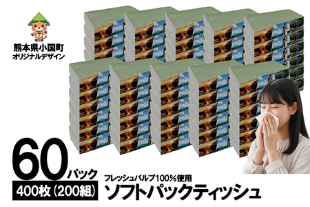 【令和8年4月～出荷】ティッシュペーパー ピュアパルプ ソフトパックティッシュ 60パック×400枚 200組 柔らか コンパクト 日用品 必需品 まとめ買い 常備品 備蓄 防災グッズ 熊本県 小国町 観光スポット紹介 オリジナル 常温配送