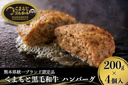 [くまもと黒毛和牛]藤彩牛 お肉専門店が作った黒毛和牛おおきなハンバーグ4個