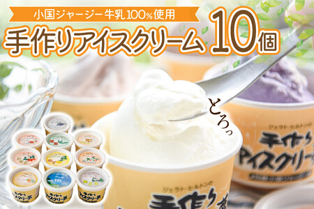 【希少なジャージー牛乳100%使用】濃厚！手作りアイスクリーム（12個入）