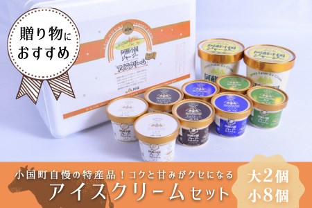 [小国郷特産ジャージー牛乳を使用!]アイスクリームセット(大2個・小8個入り)