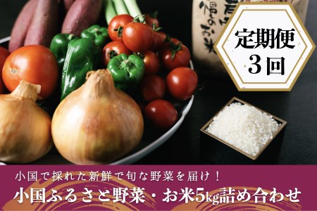 【定期便3回】阿蘇小国産・旬の野菜とお米5kgの詰め合わせ