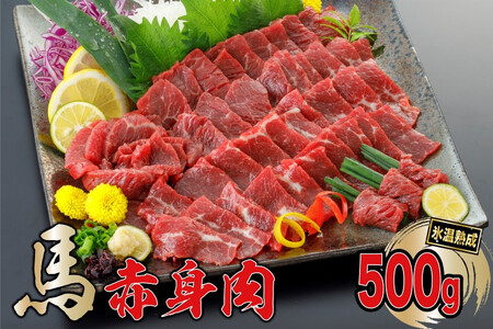 [令和6年11月出荷分]熟成×低温調理済 馬赤身肉500g