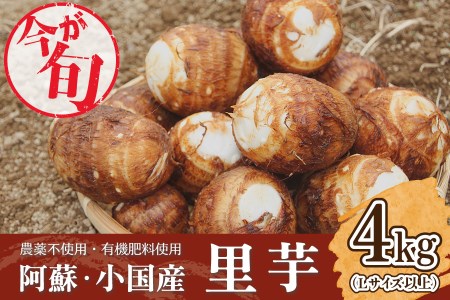 【阿蘇小国町産】農薬不使用・有機肥料使用の里芋4kg