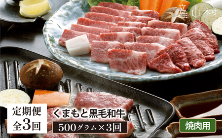 [定期便3回]くまもと黒毛和牛 焼肉用 500g