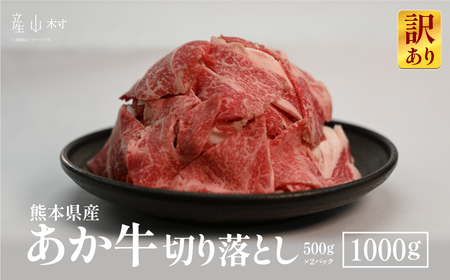 y󂠂zF{Y@؂藎Ƃ1,000s60ȓɏoח\iyjjt