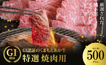 厳選されたGI認証 くまもとあか牛 特選焼肉用 500g(産山村)