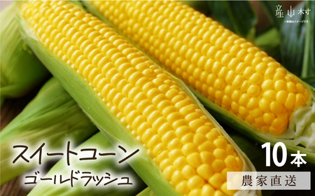 とうもろこし10本|とうもろこしとうもろこしとうもろこし 大容量 野菜