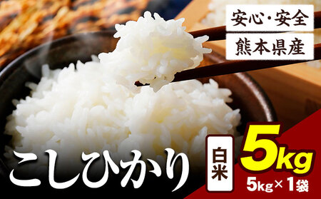 令和6年産 こしひかり 5kg [7-14日以内に出荷予定(土日祝除く)]令和6年産 熊本県産 ふるさと納税 白米 精米 ひの 米 こめ ふるさとのうぜい コシヒカリ コメ お米 おこめ