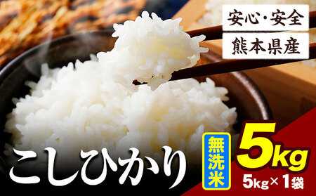 令和6年産 こしひかり 5kg [7-14日以内に出荷予定(土日祝除く)]令和6年産 熊本県産 ふるさと納税 無洗米 ひの 米 こめ ふるさとのうぜい コシヒカリ コメ お米 おこめ