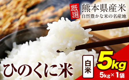 白米 ひのくに米 5kg [7-14日以内に出荷予定(土日祝除く)] 食品 米 こめ コメ 熊本県産 ふるさと納税 お米 おこめ 熊本