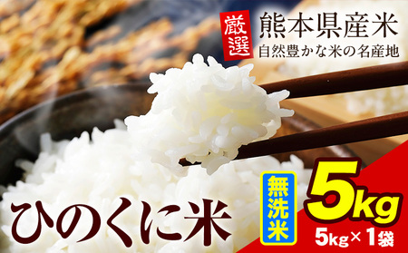 無洗米 ひのくに米 5kg [7-14日以内に出荷予定(土日祝除く)] 食品 米 こめ コメ 熊本県産 ふるさと納税 お米 おこめ 熊本