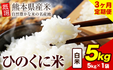 [3ヶ月定期便] 白米 ひのくに米 5kg [お申込み月の翌月から出荷開始] 食品 米 こめ コメ 熊本県産 ふるさと納税 お米 おこめ 熊本
