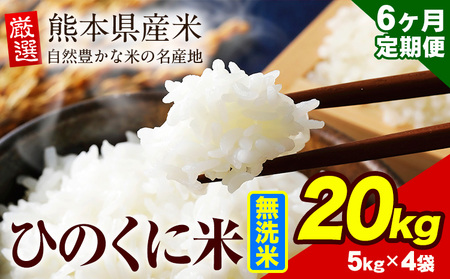 【6ヶ月定期便】無洗米 20kg ひのくに米｜無洗米無洗米無洗米