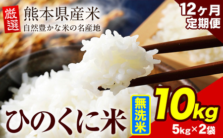 【12ヶ月定期便】 無洗米 ひのくに米 10kg ｜無洗米無洗米無洗米