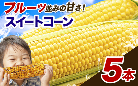 とうもろこし 5本|とうもろこしとうもろこしとうもろこし ゴールドラッシュ