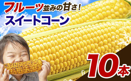 とうもろこし 10本｜とうもろこしとうもろこしとうもろこし ゴールドラッシュ